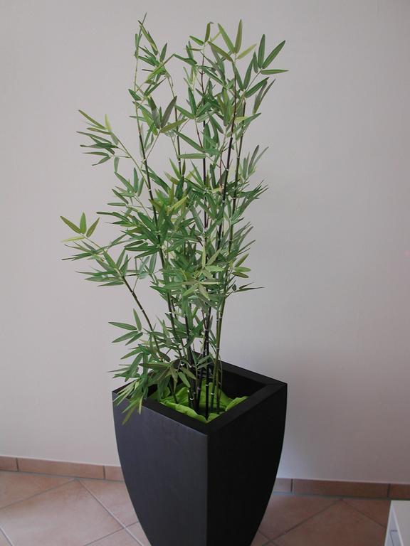 Ferienwohnung Pusteblume Cochem Phòng bức ảnh